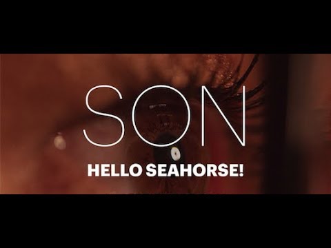 Hello Seahorse! - SON (Video Oficial)