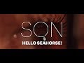 Hello Seahorse! - SON (Video Oficial) Hello Seahorse! - SON (Video Oficial)