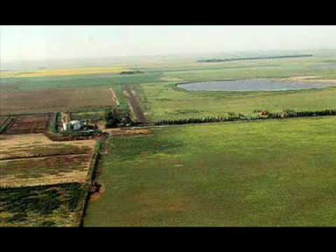 Nelly Omar Viejo Jardin Cafe de los maestros tango vals