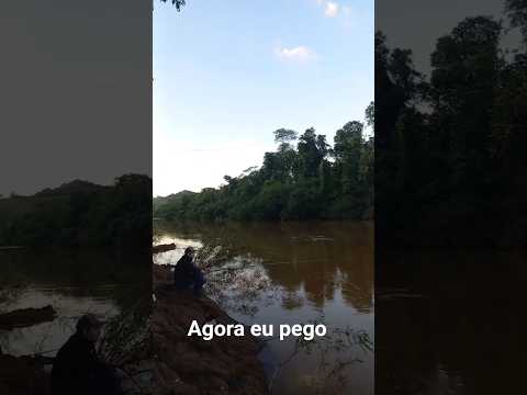 Rio cantu Altamira do Paraná #pescaria