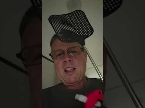 1,000 Moths vs. The Exterminator (Vacation Edition)
