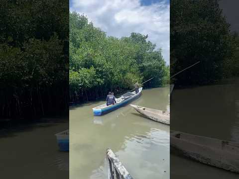 ASOCIACION DE PESCADORES CRIAPEZ