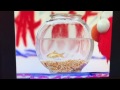 Elmo S World Bath Time Intro