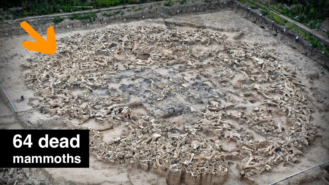 What are these enormous piles of Mammoth bones?