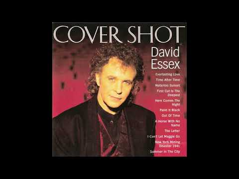 David Essex - I Can't Let Maggie Go