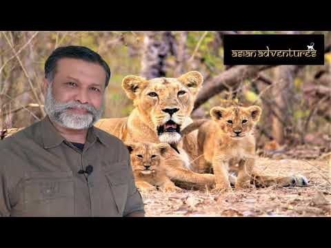 Gir National Park Sasan Gir