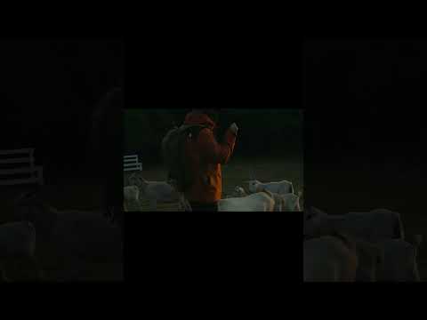 ACEBEAM UC20 Rechargeable EDC Flat Flashlight with red light , UV and