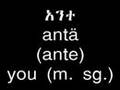 Learn Amharic - Personal Pronouns