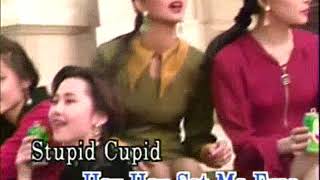 Stupid Cupid - Video Karaoke (Star)