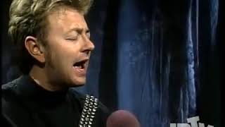 Brian Setzer Nightingale