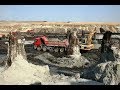 Откопали допотопные кипарисы под 20м.песка и другие странности 