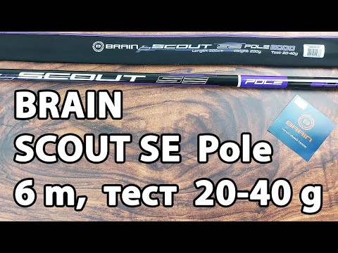 Махове вудилище Brain Scout SE Pole 6m, тест 20-40g