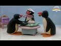 Pingu English New Episodes 23