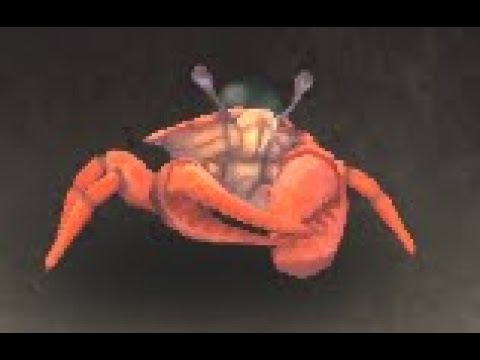 Eastern Kingdoms Safari: Strand Crab Battle Pet, The Cape of Stranglethorn, WoW Retail