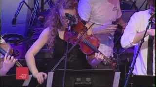 Little Moon- Metal Fingers (Electric President Cover)