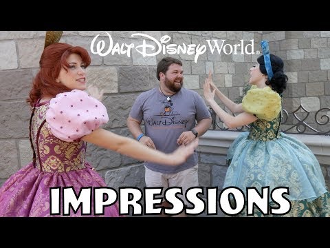 I Scared Cinderella's Step Sisters!   Disney World Impressions
