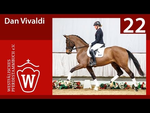 22 Dan Vivaldi  Wallach v. Dante Weltino - Vivaldi