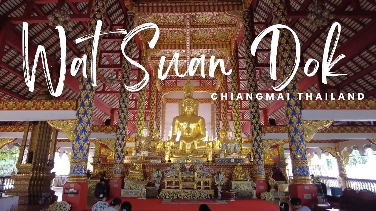 Embark on an enthralling walking tour of the majestic Wat Suan Dok temple.