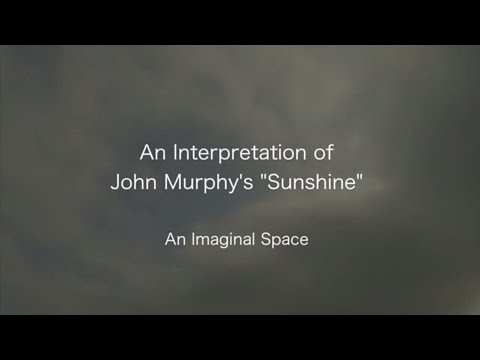 An Interpretation of John Murphy's 