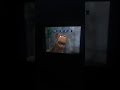 Sesame Street Episode 2523 Ending