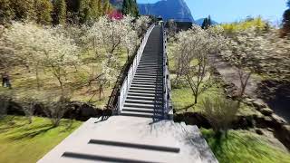 寒溪呢森林人文叡地