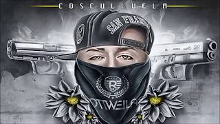 Cosculluela - La Nueve y La Fory (Audio Oficial)