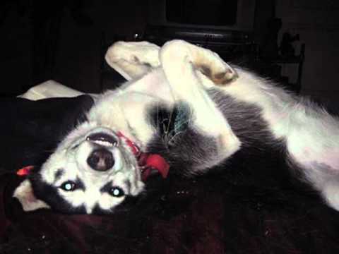 Xandria - Eversleeping