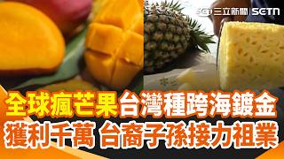 精華｜全球瘋芒果！台灣移民拓荒石垣島 沖繩水果原來源自台灣？台灣種跨海鍍金「獲利千萬」！台裔子孫接力繼承祖業｜三立新聞網 SETN.com