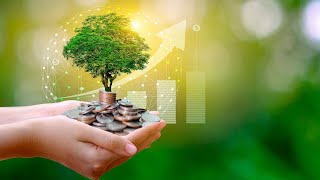 Meta's Sustainability Challenges  Can They Achieve Net-Zero