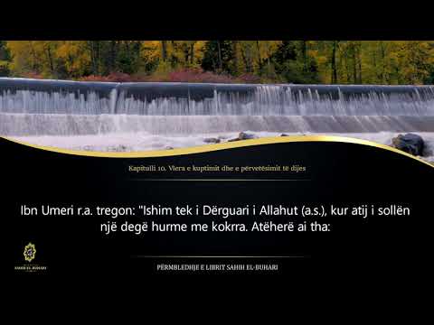 Sahih Buhari - Hadith 64 - Vlera e kuptimit dhe e përvetësimit të dijes