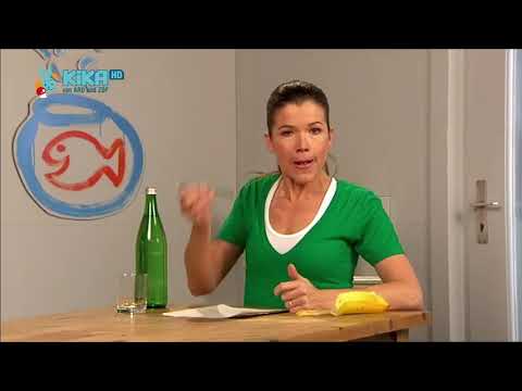 Anke und die ToDo Liste - Die Sendung mit dem Elefanten