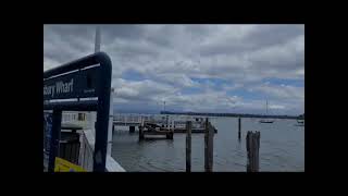 Beautiful New Zealand on Grand Princess #travel #cruise #grandprincess #youtuber #newzealand #ship