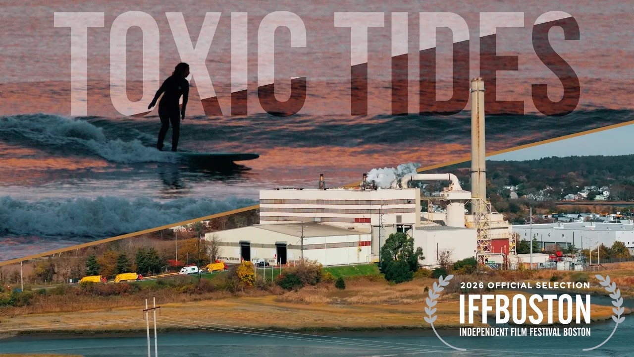 TOXIC TIDES: The fight to save King's Beach | Short Documentary Film