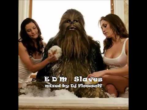 DJ FlowWolf - EDM Slaves