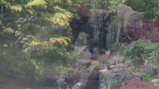 12 Stones Waiting For Yesterday