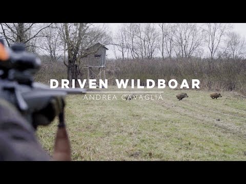 Drückjagd | Wildboar Driven Hunt in Croatia