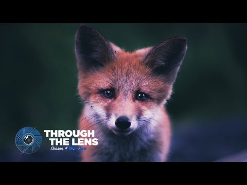 Through The Lens | S04E01 - @kpunkka