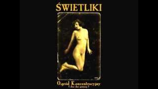 Świetliki - Tygrysia piosenka
