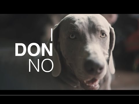 Venn - IDONNO [Official Music Video]