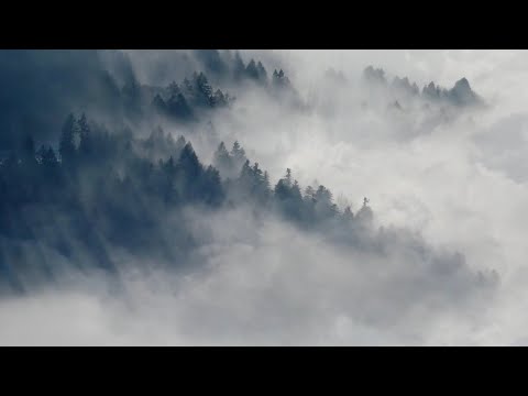 Live Wallpaper 10hr Clouds and Forest 1080p 60fps No Sound