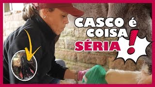 Miniatura do vídeo