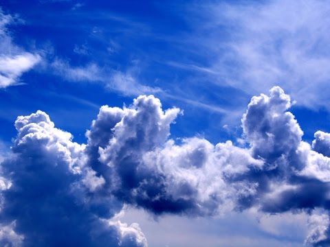 Anna Sophia Robb-Keep your mind wide open