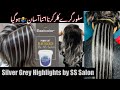 How To: Silver Grey Highlights// Gray Highlights on Dark Hair// Silver Highlights Step-by-Step.