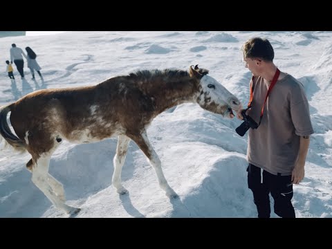 🇮🇳 India Part 2 - Fabio Wibmer