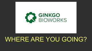 Where is Ginko Bioworks stock headed A $DNA chart analysis