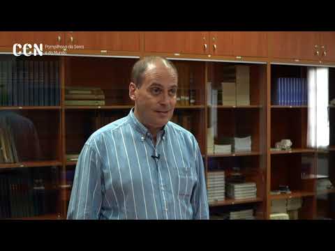 CCN Jornal - 3ª Emissão (Especial Dia da Criança) - 05/06/2020