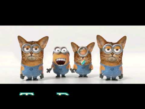 Happy Birthday to Raz