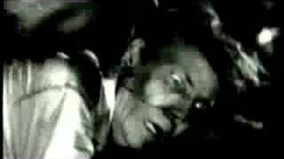 Flight of the Finch Music Video