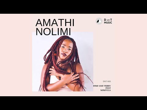 Dino & Terry Feat.Nomvula SA - Amathi Nolimi