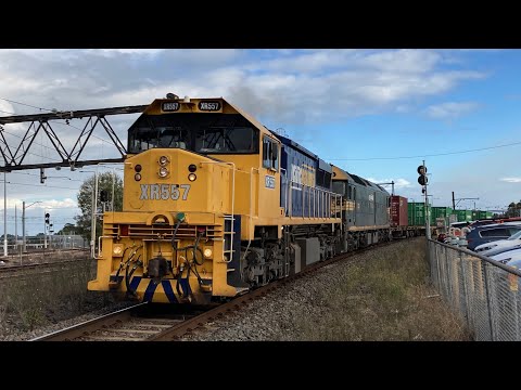 XR557 Leads Mildura Fruit Train!